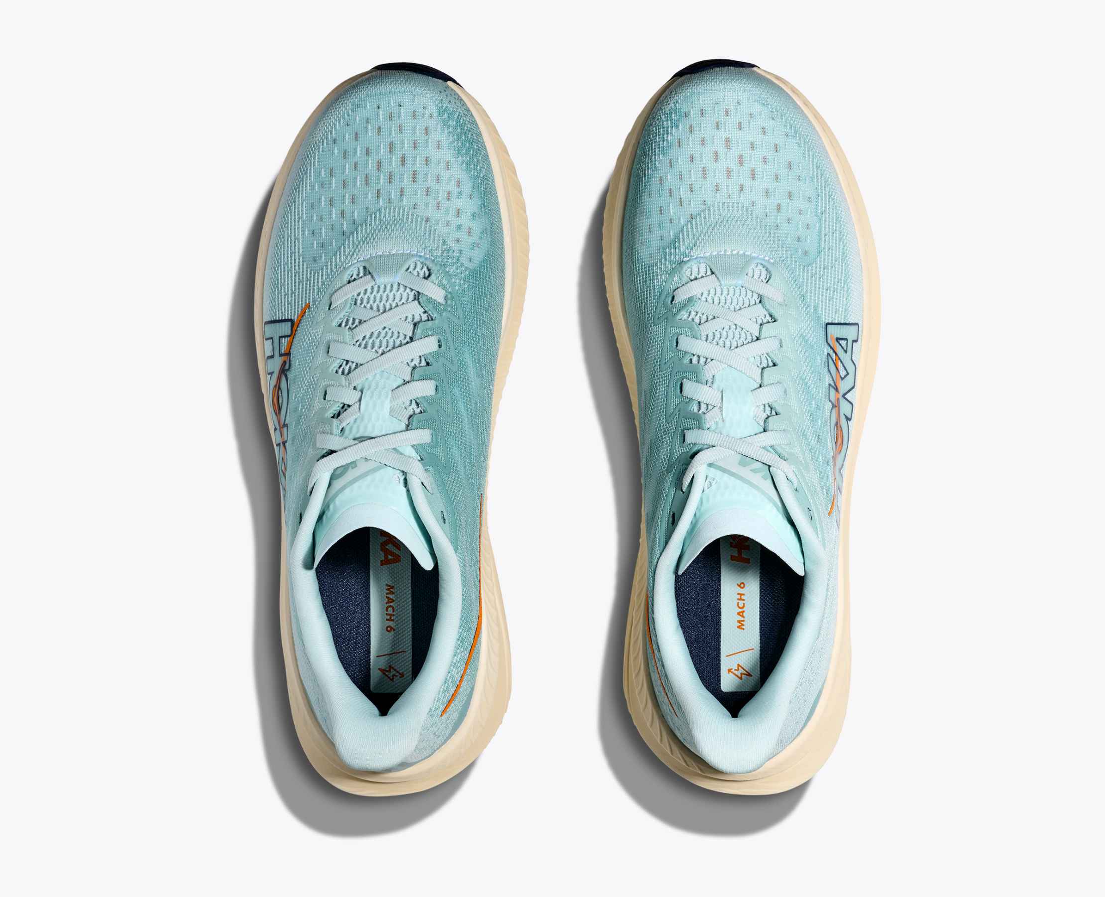 Men's Mach 6 - clear sea / sea water