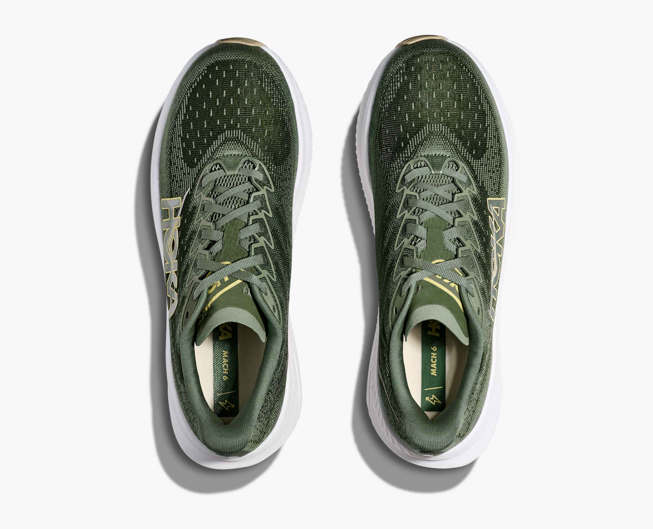 Men's Mach 6 - succulent / fern