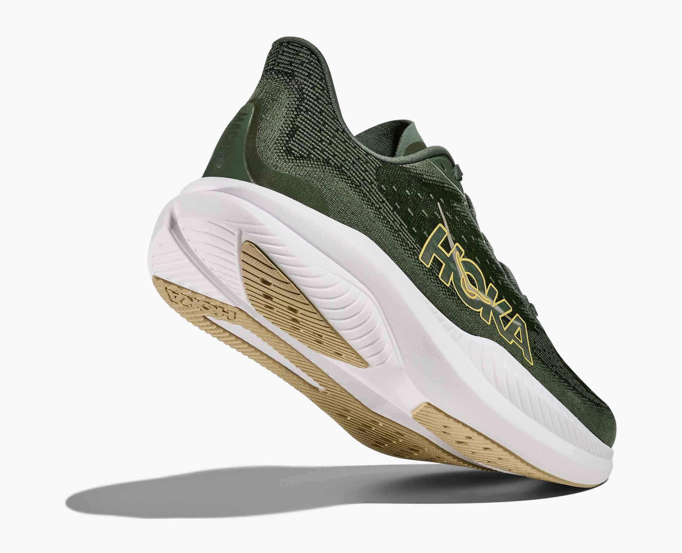 Men's Mach 6 - succulent / fern