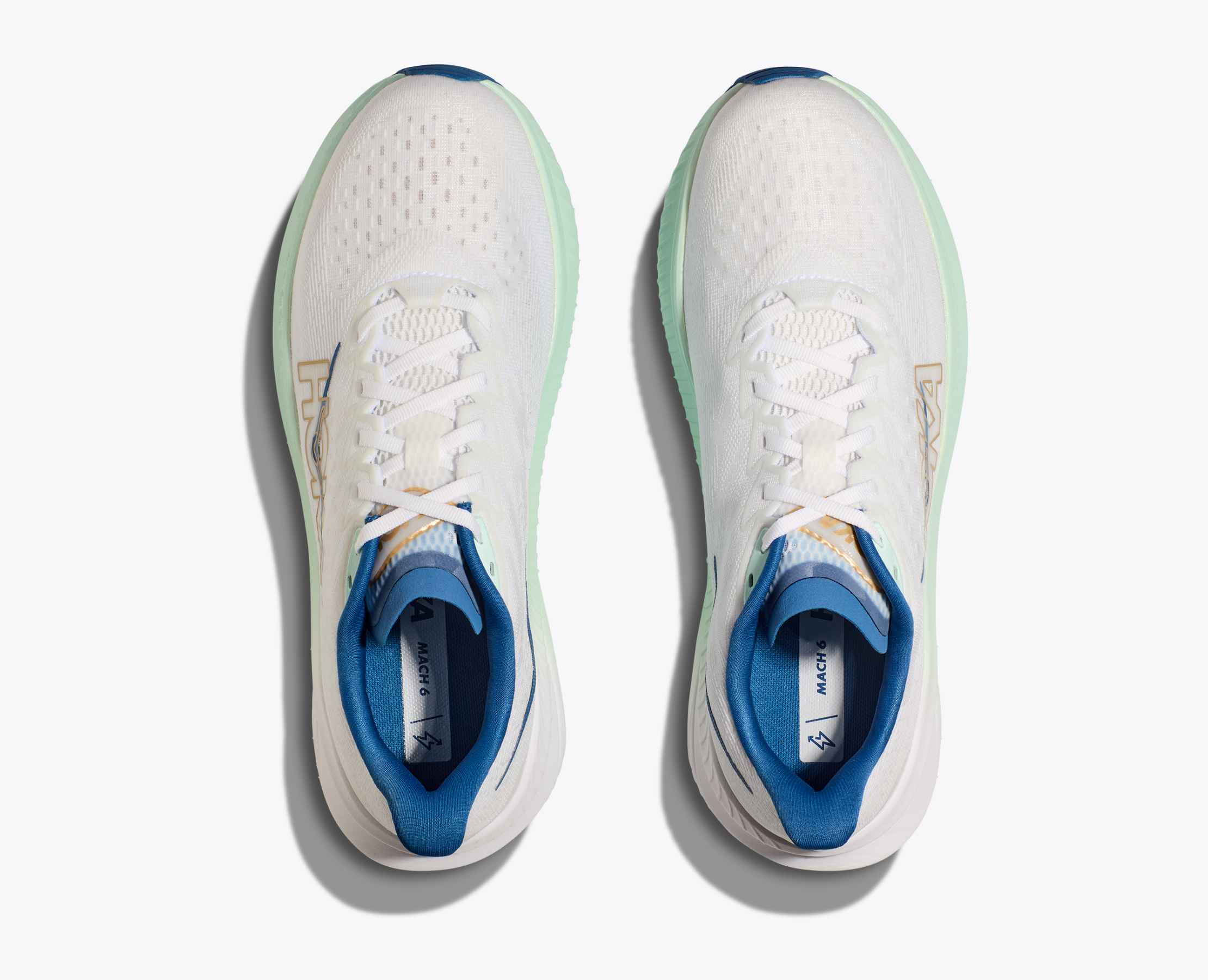 Men's Mach 6 - frost / gold