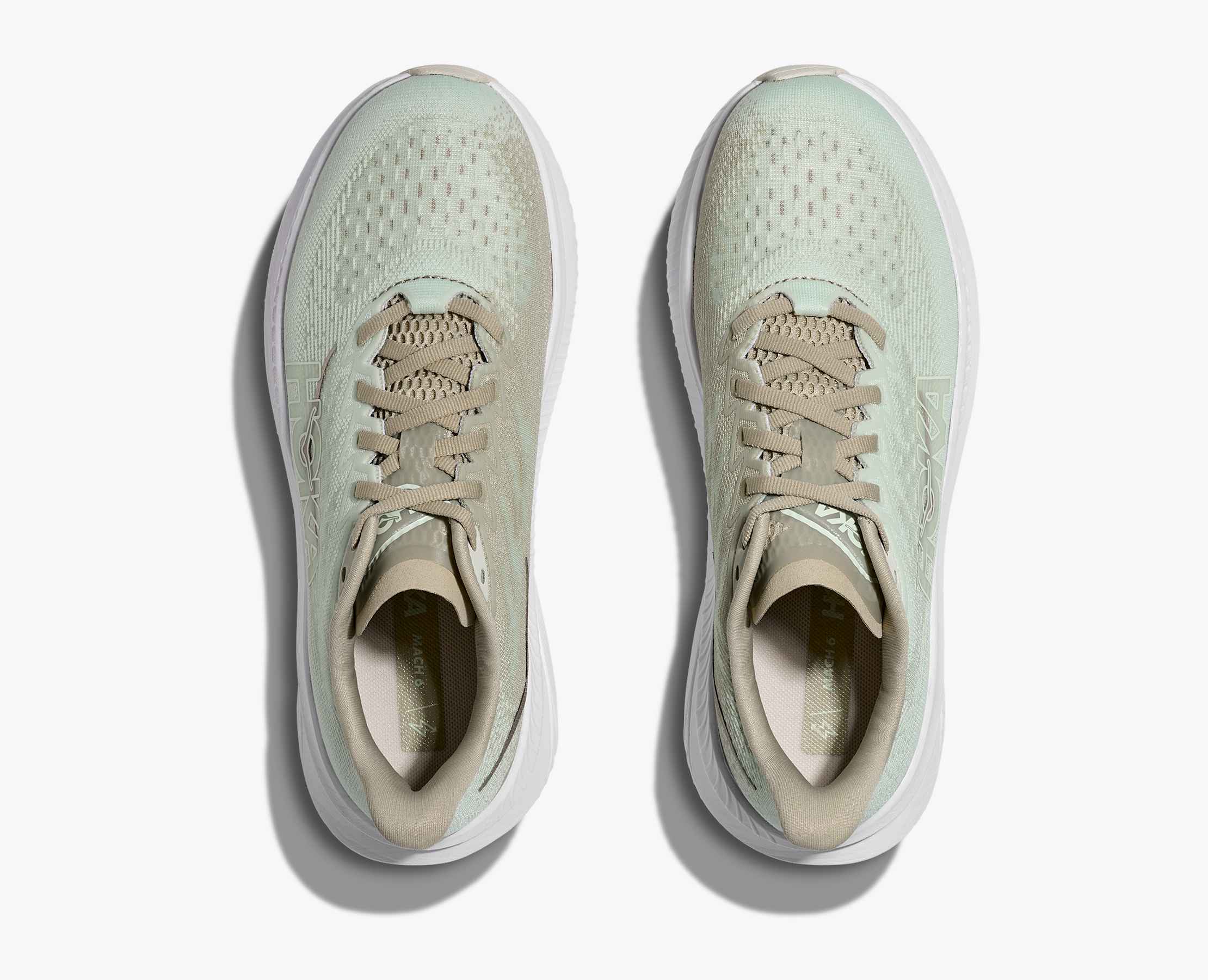 Women's Mach 6 - oyster mushroom / truffle salt