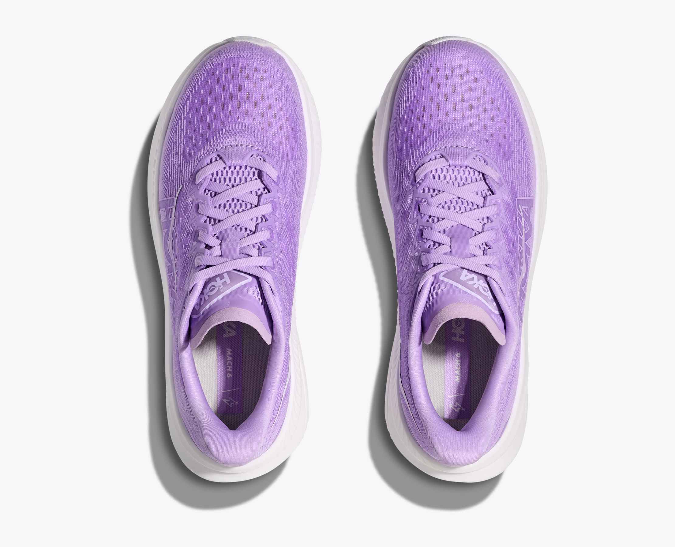 Women's Mach 6 - aster flower / white