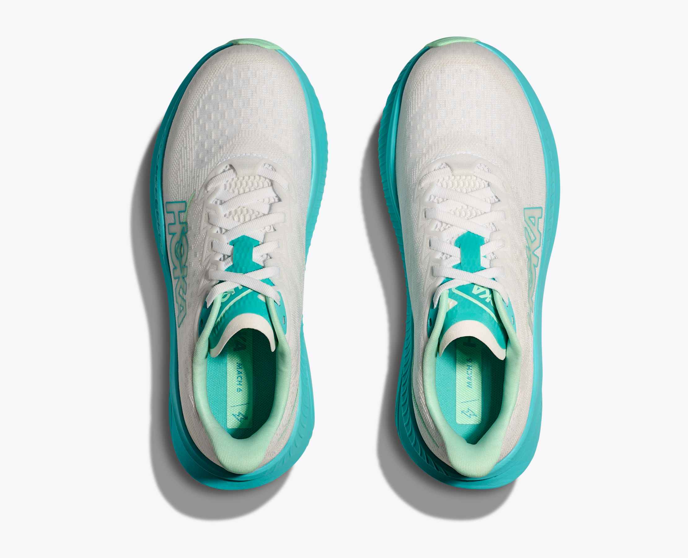 Women's Mach 6 - white / cielo blue