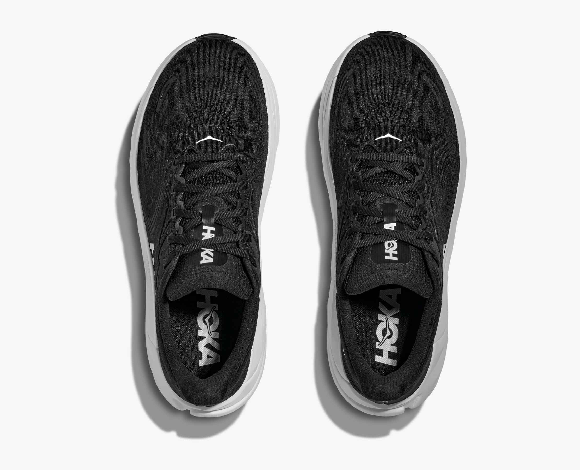 Women's Arahi 8 - black / white